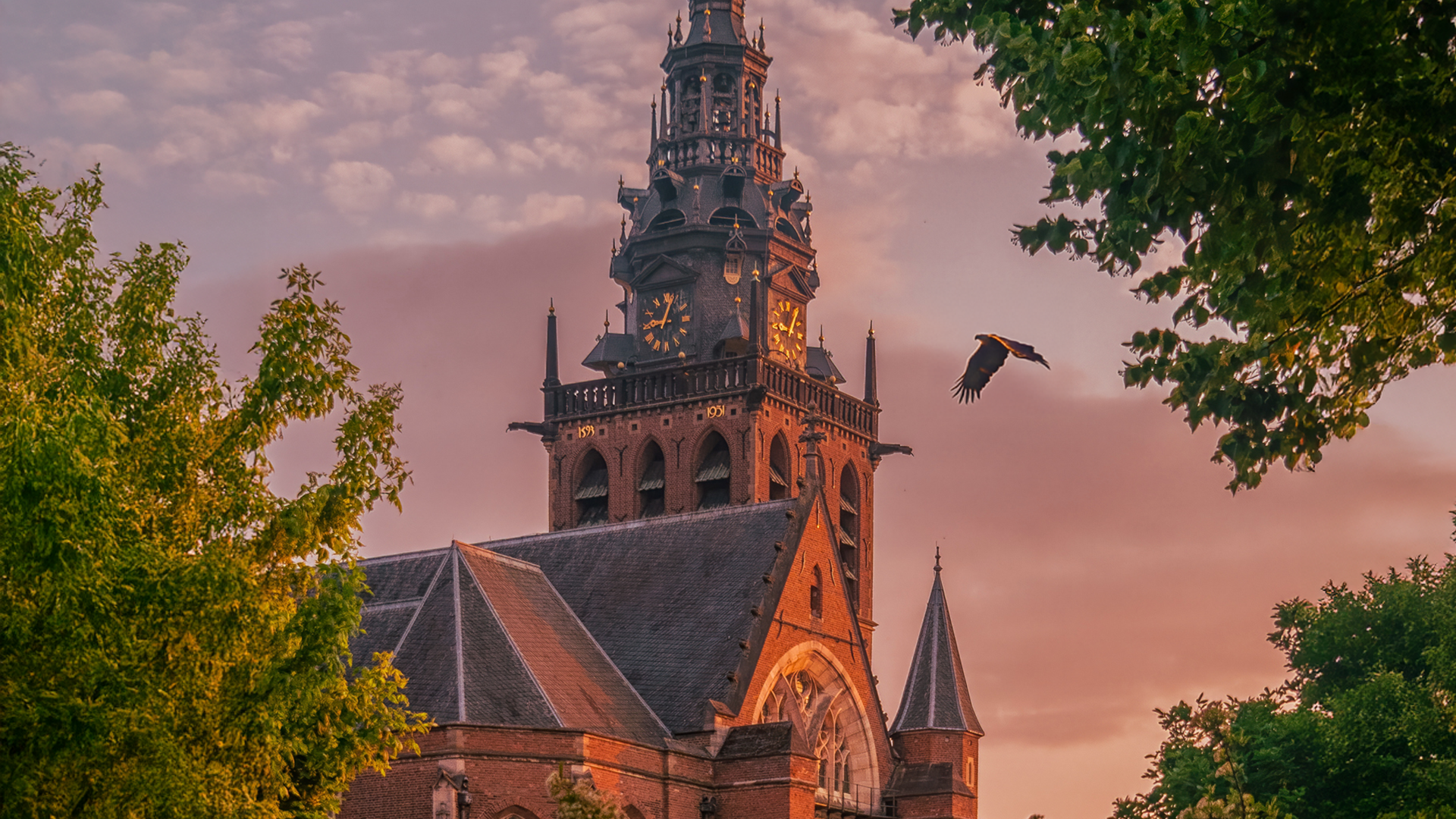 Informatie seizoenkaart jubileumseizoen 2025-2026