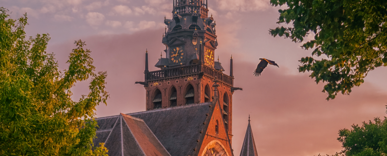 Informatie seizoenkaart jubileumseizoen 2025-2026